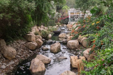 البراري في مدينة دبي