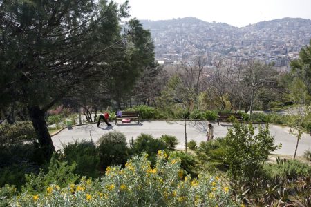 حديقة تورو