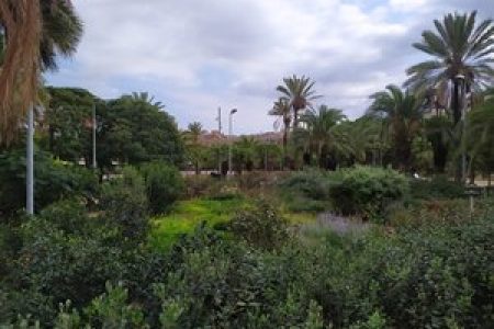 حديقة جوان ميرو