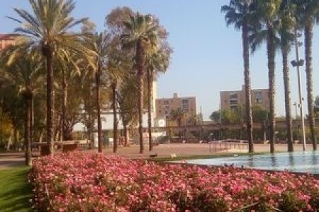 حديقة جوزيف ماريا سيرا مارتي